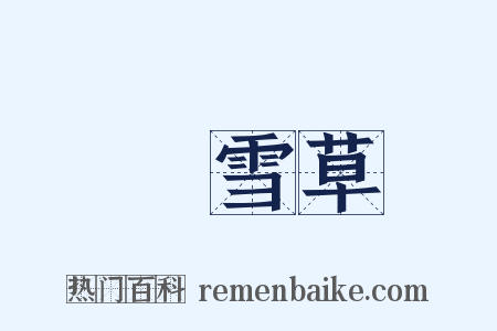 積雪草是什么意思的图片